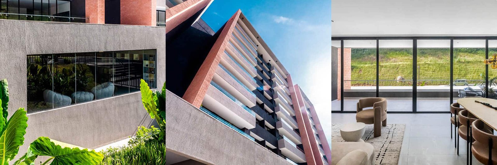 Torre Arboré | Grupo Solaire