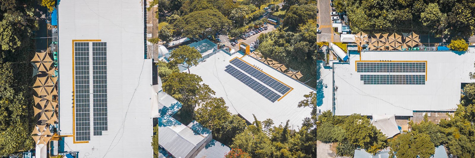 Tin Marin | Grupo Solaire